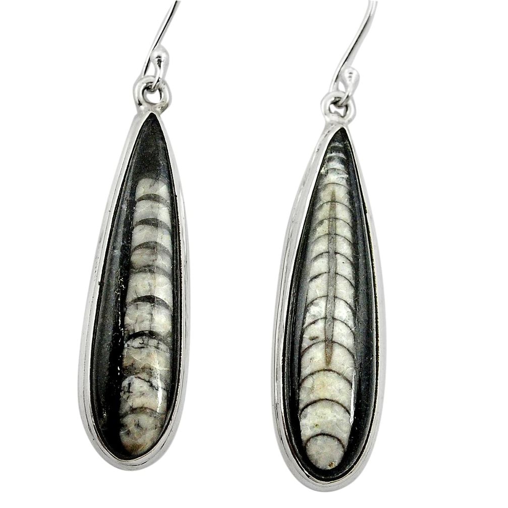 Natural black orthoceras 925 sterling silver dangle earrings jewelry m61780