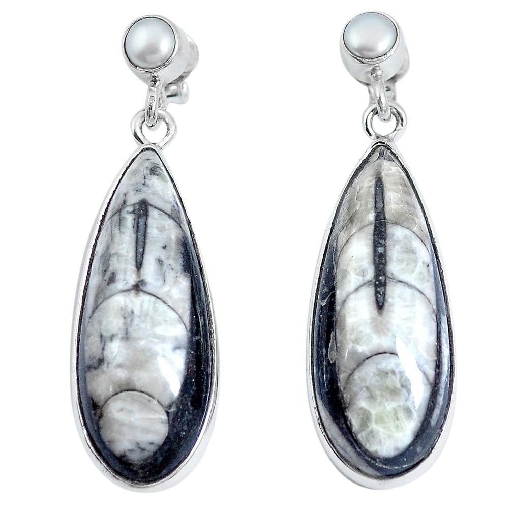 Natural black orthoceras pearl 925 sterling silver earrings m73681