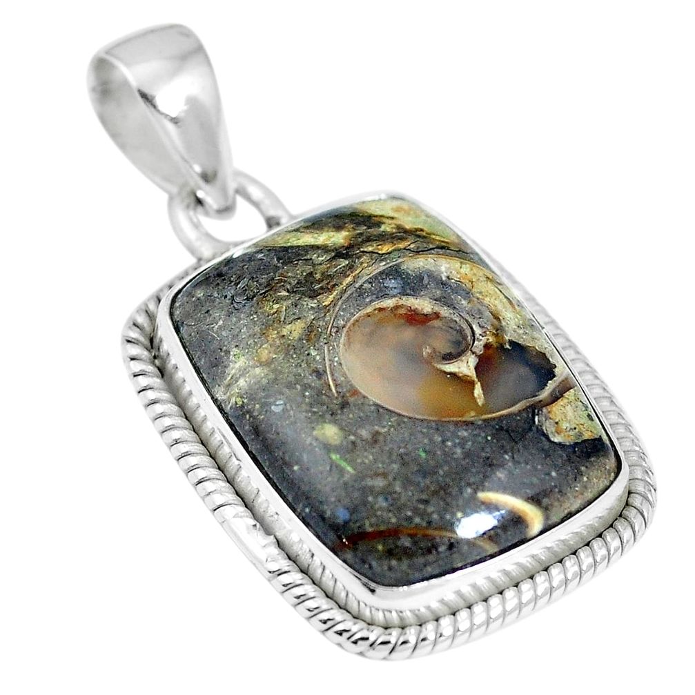 Natural brown colus fossil 925 sterling silver pendant jewelry m66582