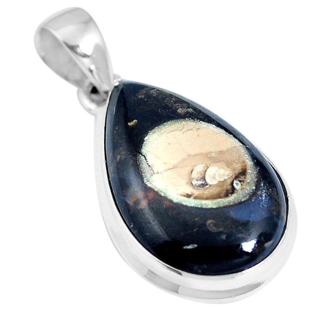 Natural brown colus fossil 925 sterling silver pendant jewelry m66586