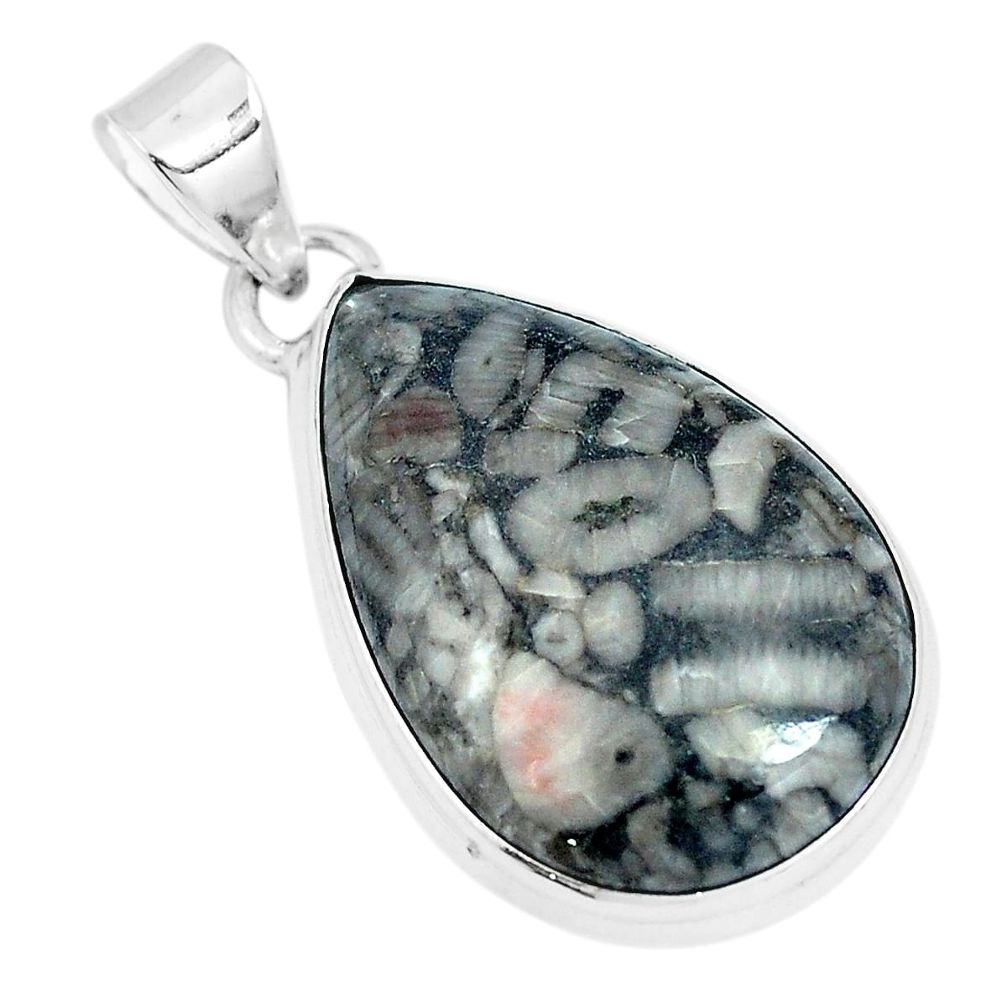 Natural black colus fossil pear 925 sterling silver pendant jewelry m79534