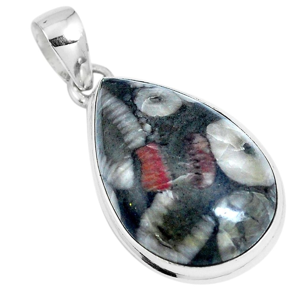 Natural black colus fossil 925 sterling silver pendant jewelry m79538