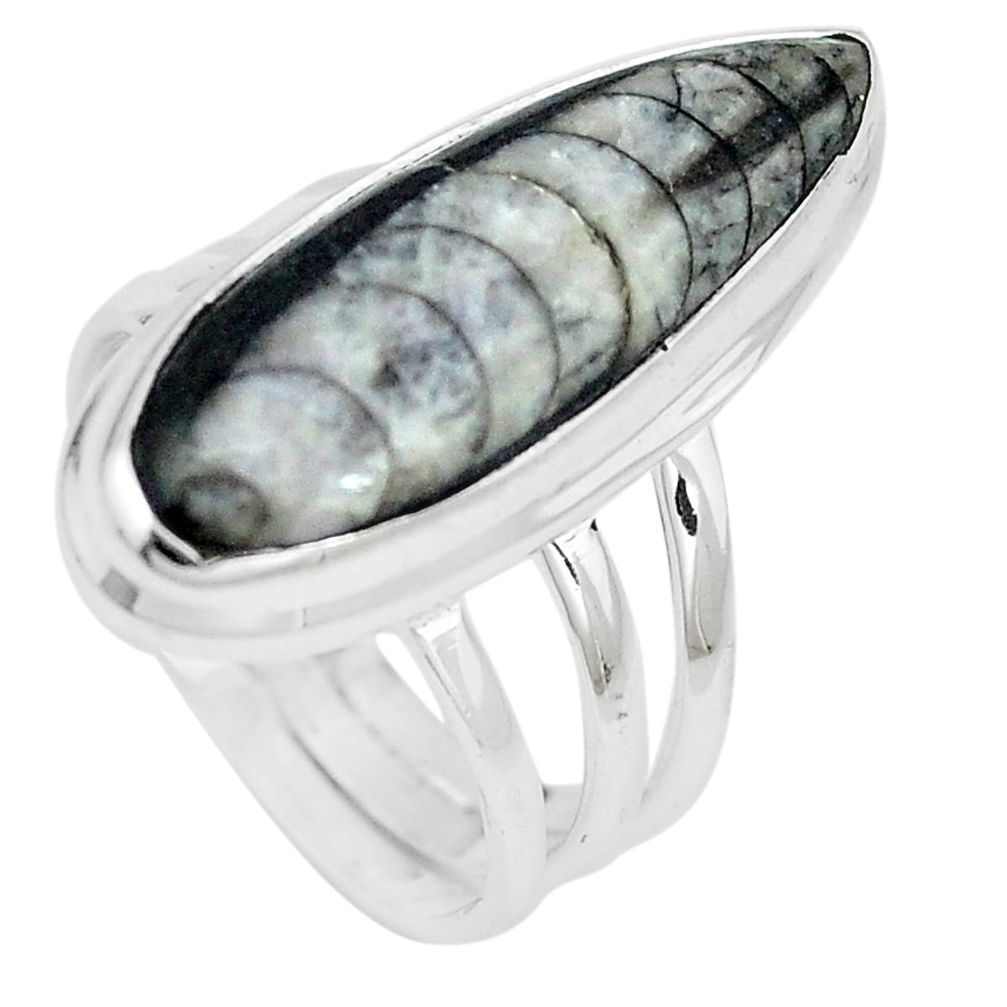 Natural black orthoceras 925 sterling silver ring jewelry size 6 m83063