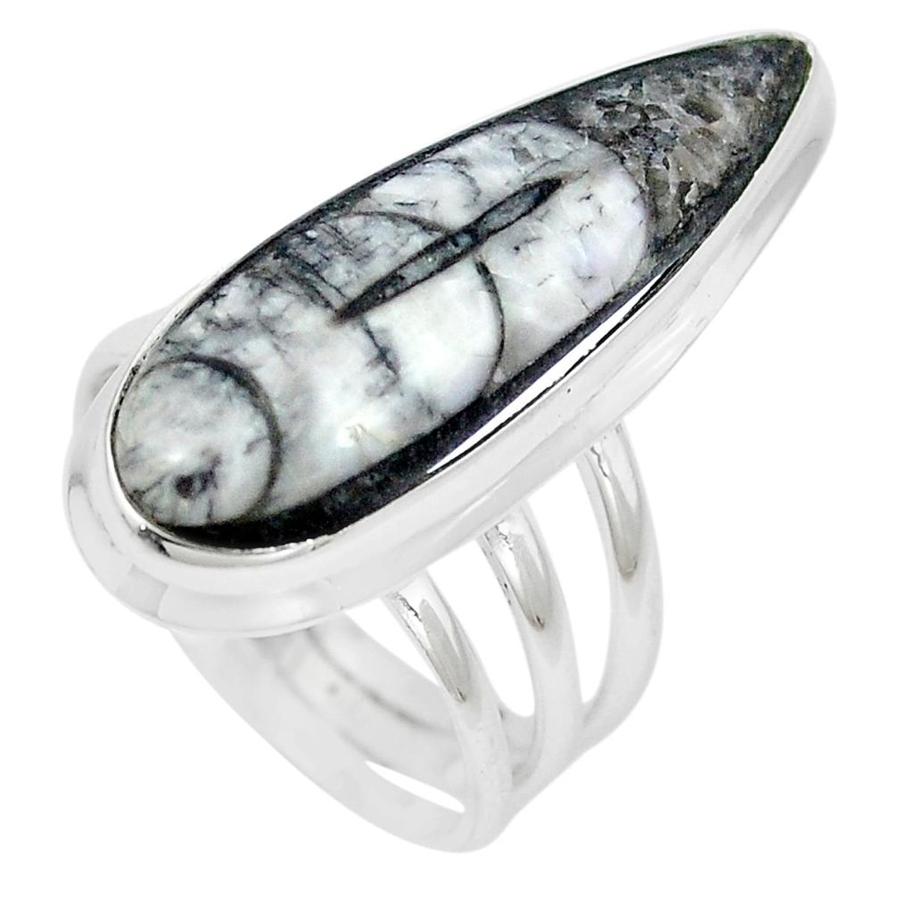 Natural black orthoceras 925 sterling silver ring jewelry size 7.5 m83067