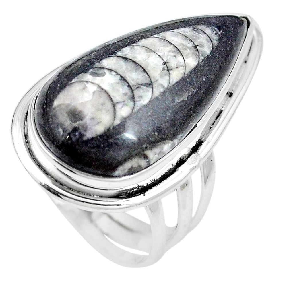 Natural black orthoceras 925 sterling silver ring jewelry size 7 m83072