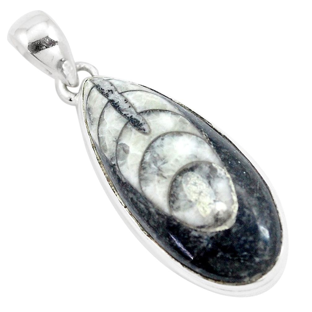 925 sterling silver 22.05cts natural black orthoceras pear pendant p16172