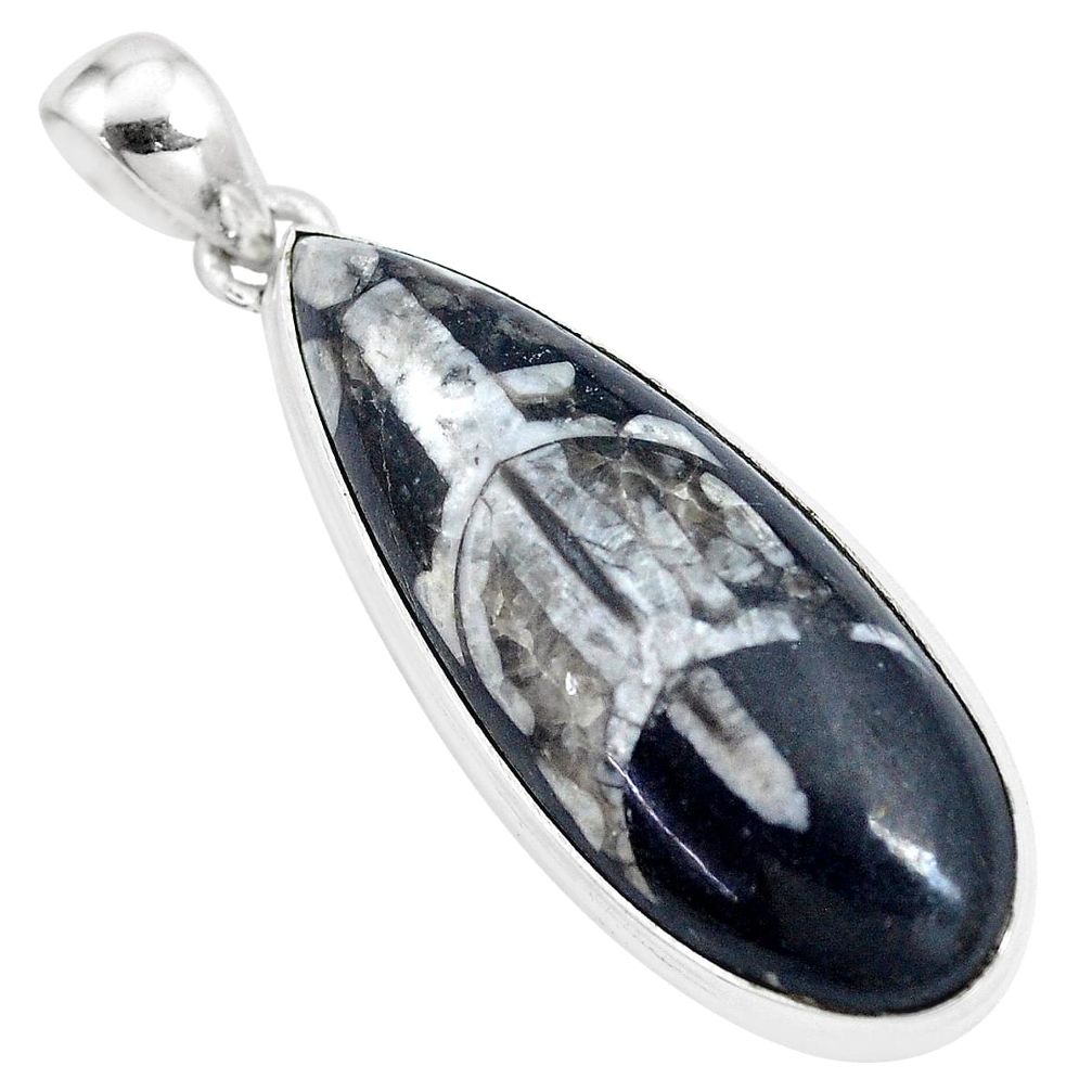 27.70cts natural black orthoceras 925 sterling silver pendant jewelry p16177