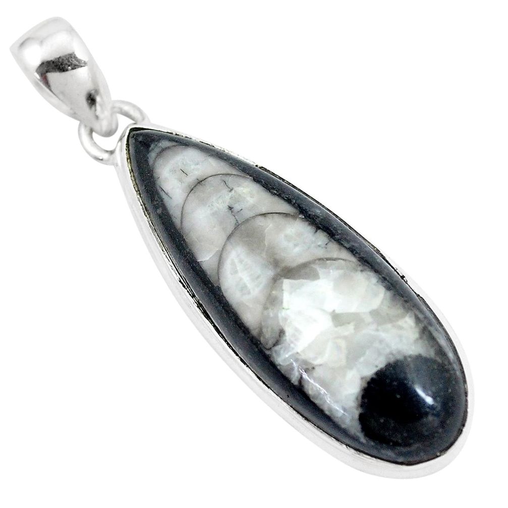 22.05cts natural black orthoceras 925 sterling silver pendant jewelry p16178