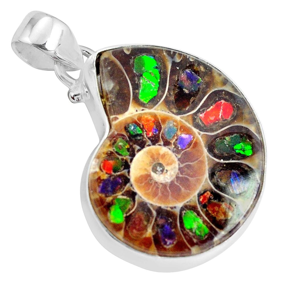 20.33cts natural brown ammolite in ammonite 925 sterling silver pendant p29742