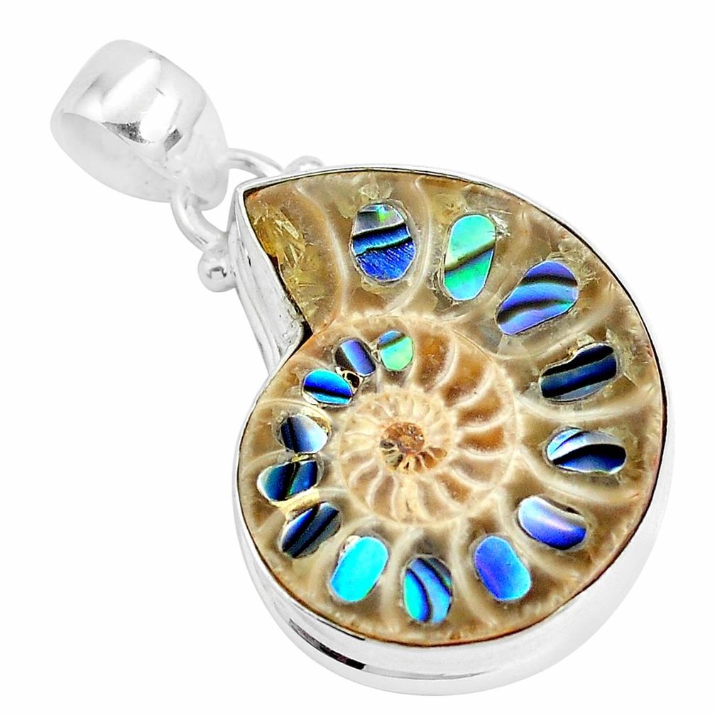 17.95cts natural multi color abalone in ammonite 925 silver pendant p29765