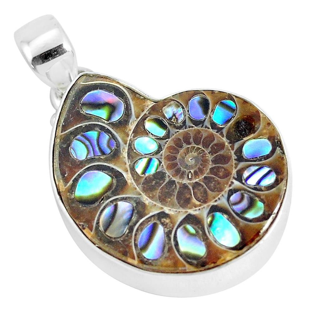 925 silver 20.33cts natural multi color abalone in ammonite pendant p29768