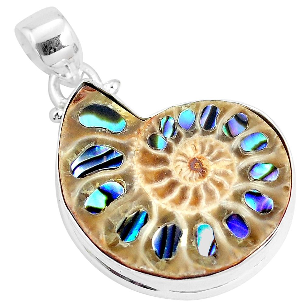 925 silver 18.46cts natural multi color abalone in ammonite pendant p29775