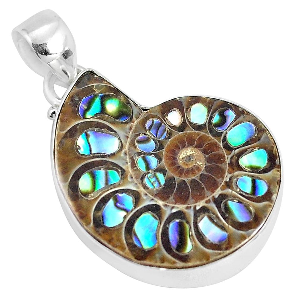 925 silver 19.82cts natural multi color abalone in ammonite pendant p29780