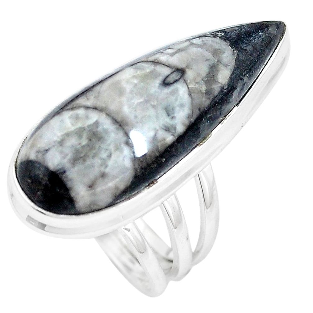 Natural black orthoceras 925 sterling silver solitaire ring size 7 p16077