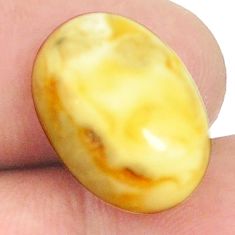 Natural 4.90cts amber bone white cabochon 17x12 mm oval loose gemstone s1201
