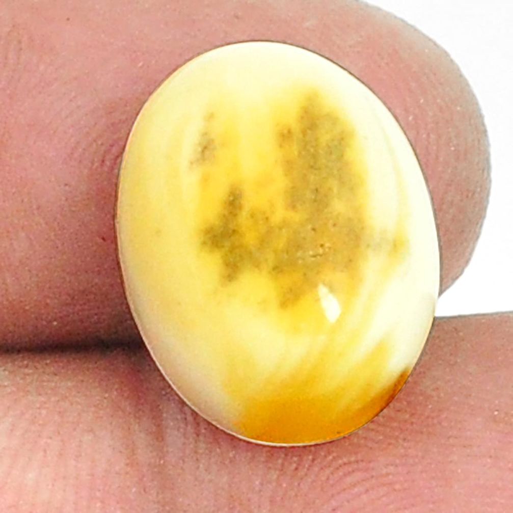 Natural 3.85cts amber bone white cabochon 15x12 mm oval loose gemstone s1206