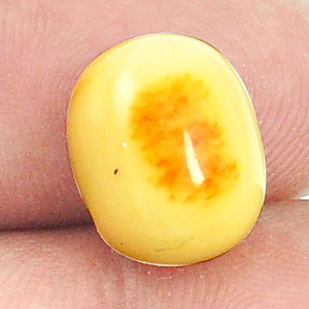 Natural 2.75cts amber bone white cabochon 13x10 mm oval loose gemstone s1208