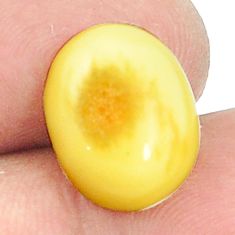 Natural 2.95cts amber bone white cabochon 15x11 mm oval loose gemstone s1215