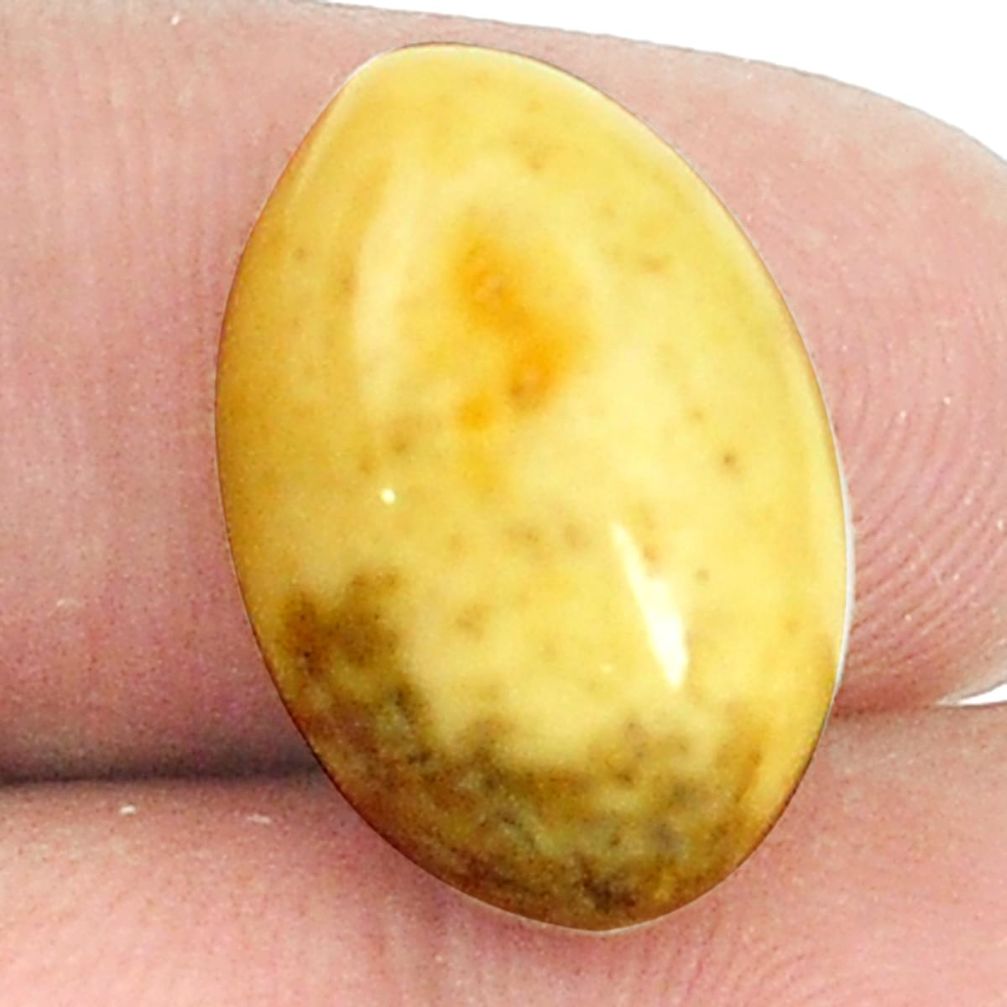 Natural 4.85cts amber bone white cabochon 18x12 mm oval loose gemstone s1219