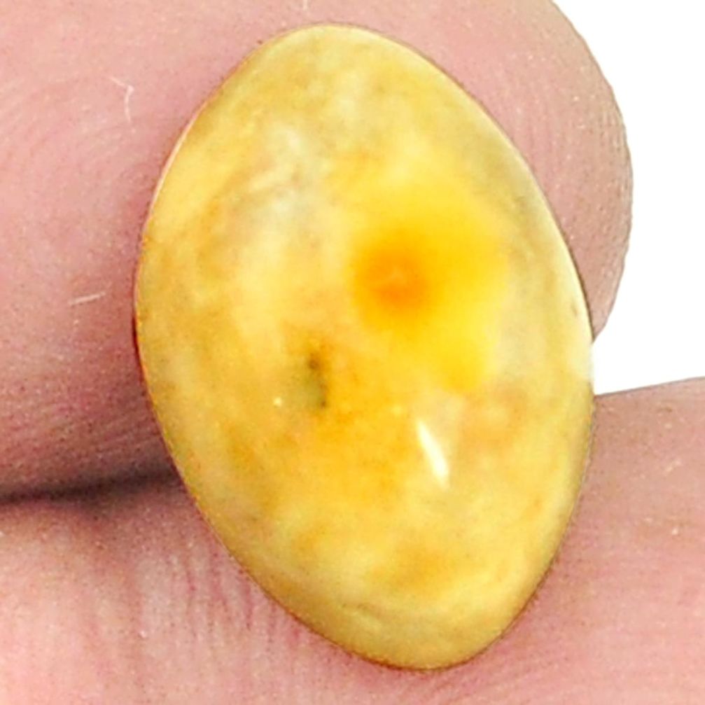 Natural 2.90cts amber bone white cabochon 16x10 mm oval loose gemstone s1220