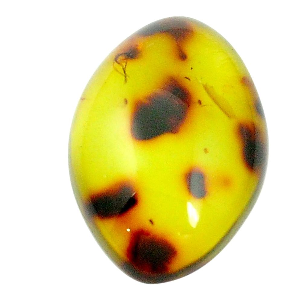 Natural 14.90ct amber from colombia green 32x22mm fancy loose gemstone s1333