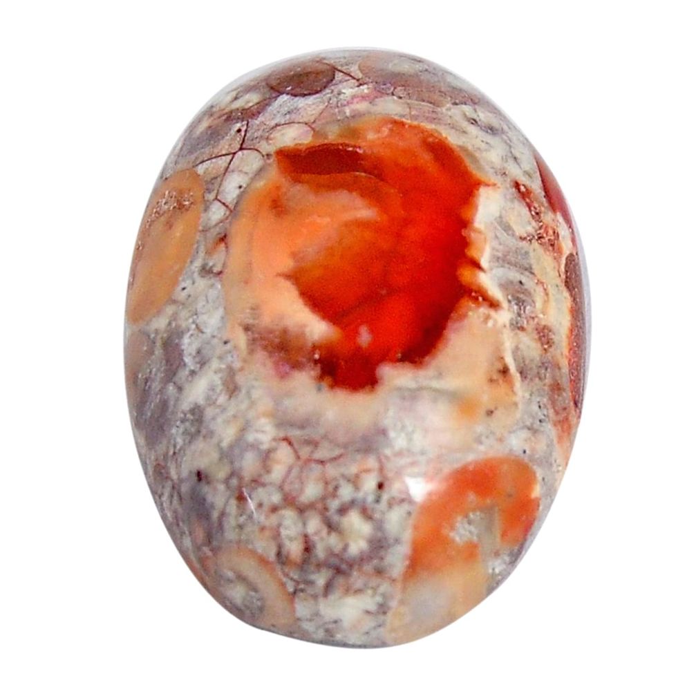 Natural 19.45cts mexican fire opal orange 23.5x17 mm oval loose gemstone s15219