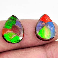 ammolite (canadian) triplets 16x12 mm pair loose gemstone s15225