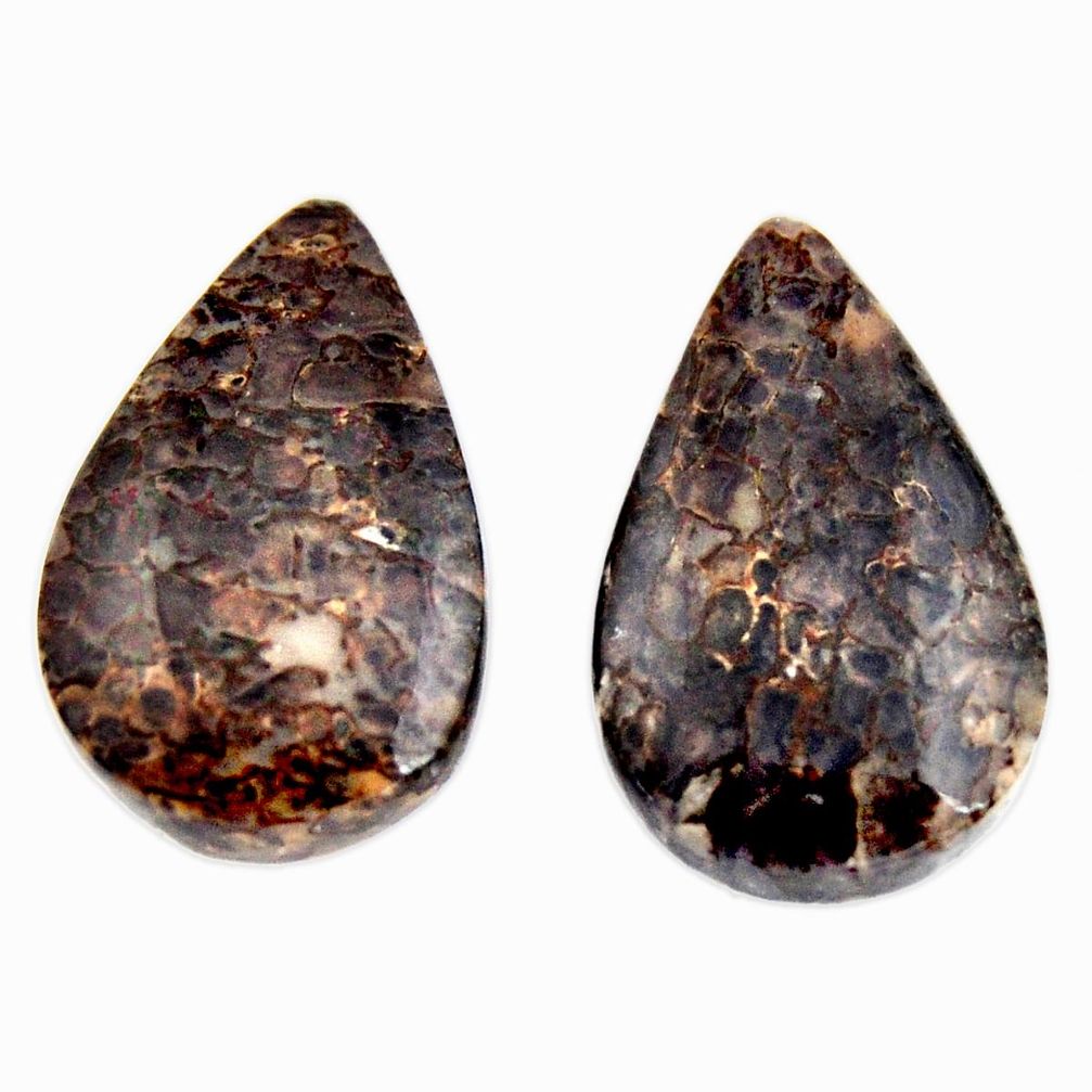  dinosaur bone fossilized 24x15 mm pair loose gemstone s15482