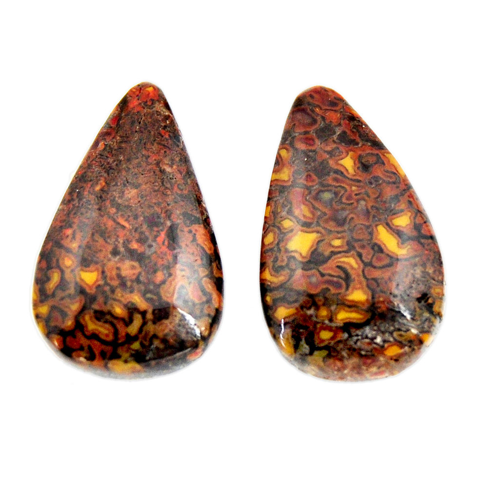 Natural 29.35cts dinosaur bone fossilized 23x13.5 mm pair loose gemstone s15490