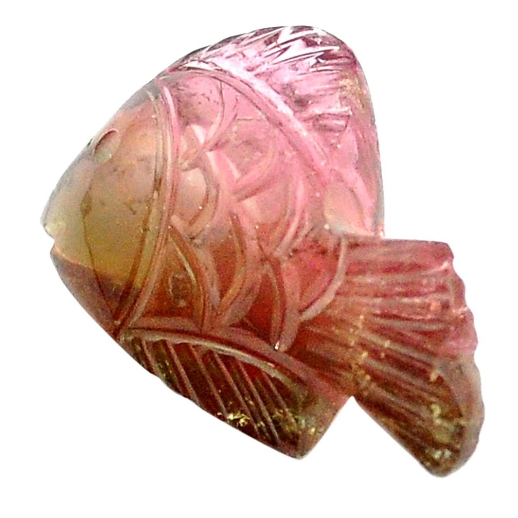 Natural 17.80cts tourmaline watermelon carving 22x16mm fish loose gemstone s1617