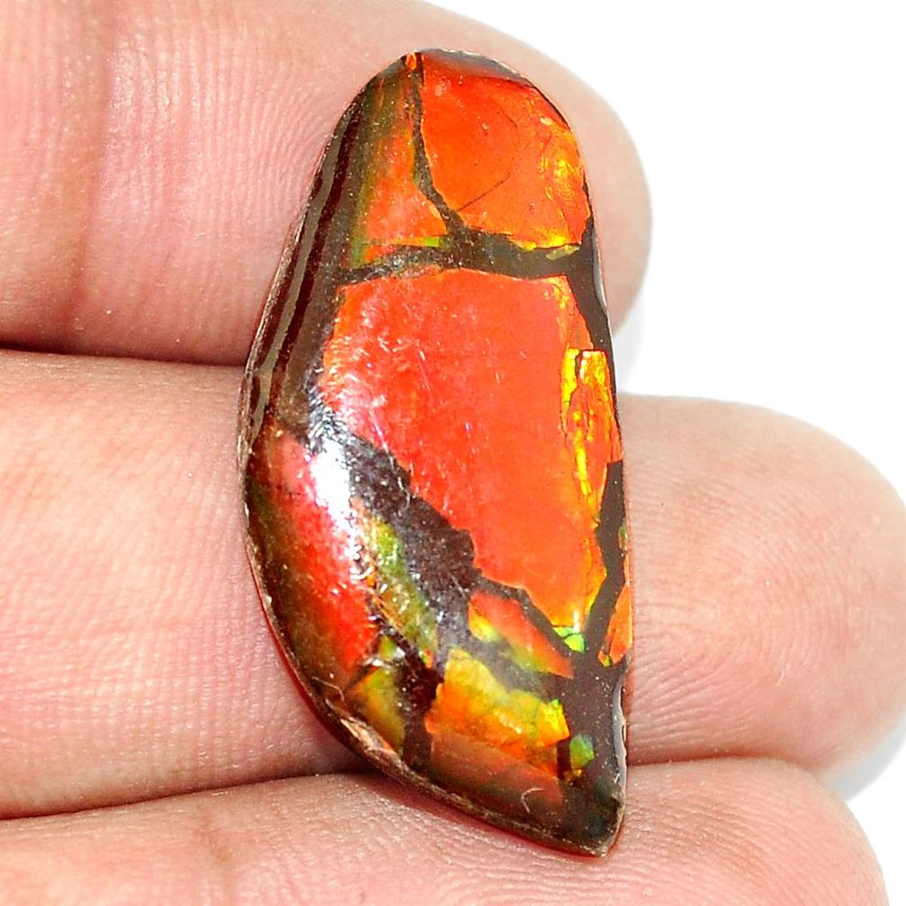 Natural 18.85cts ammolite (canadian) cabochon 30x14mm fancy loose gemstone s1693