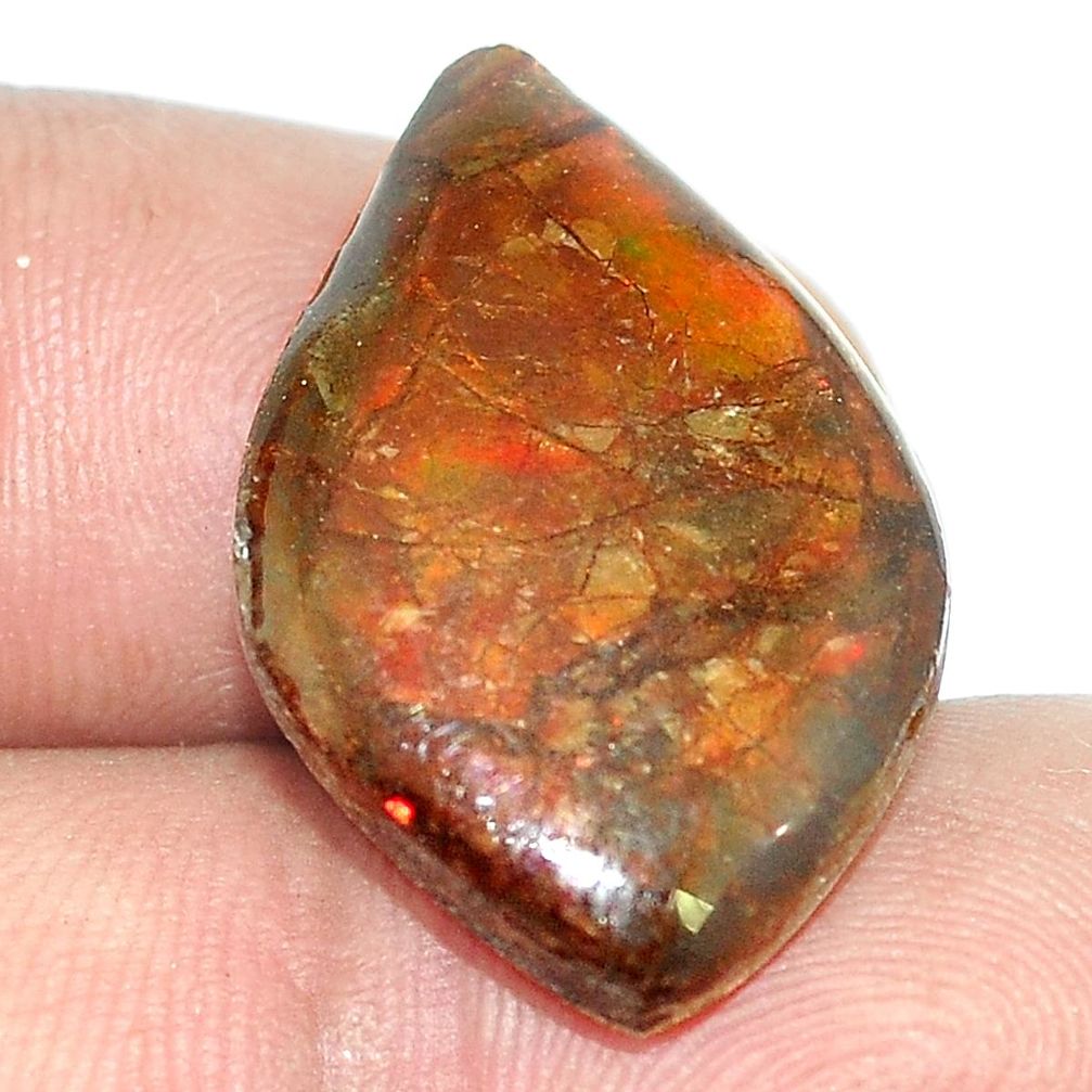 Natural 13.70cts ammolite (canadian) cabochon 24x16mm fancy loose gemstone s1746