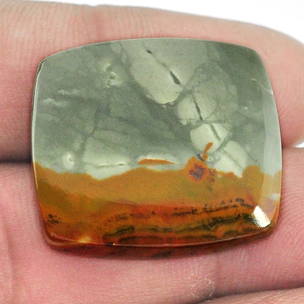 Natural 36.20cts rocky butte picture jasper brown 25x22 mm loose gemstone s1972