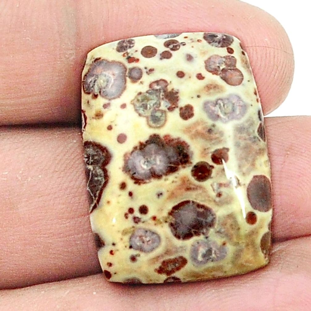Natural 25.80cts asteroid jasper brown cabochon 26x19 mm loose gemstone s2982