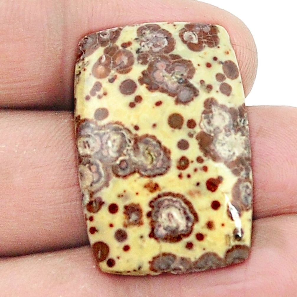 Natural 27.95cts asteroid jasper cabochon 30x20 mm octagan loose gemstone s2985