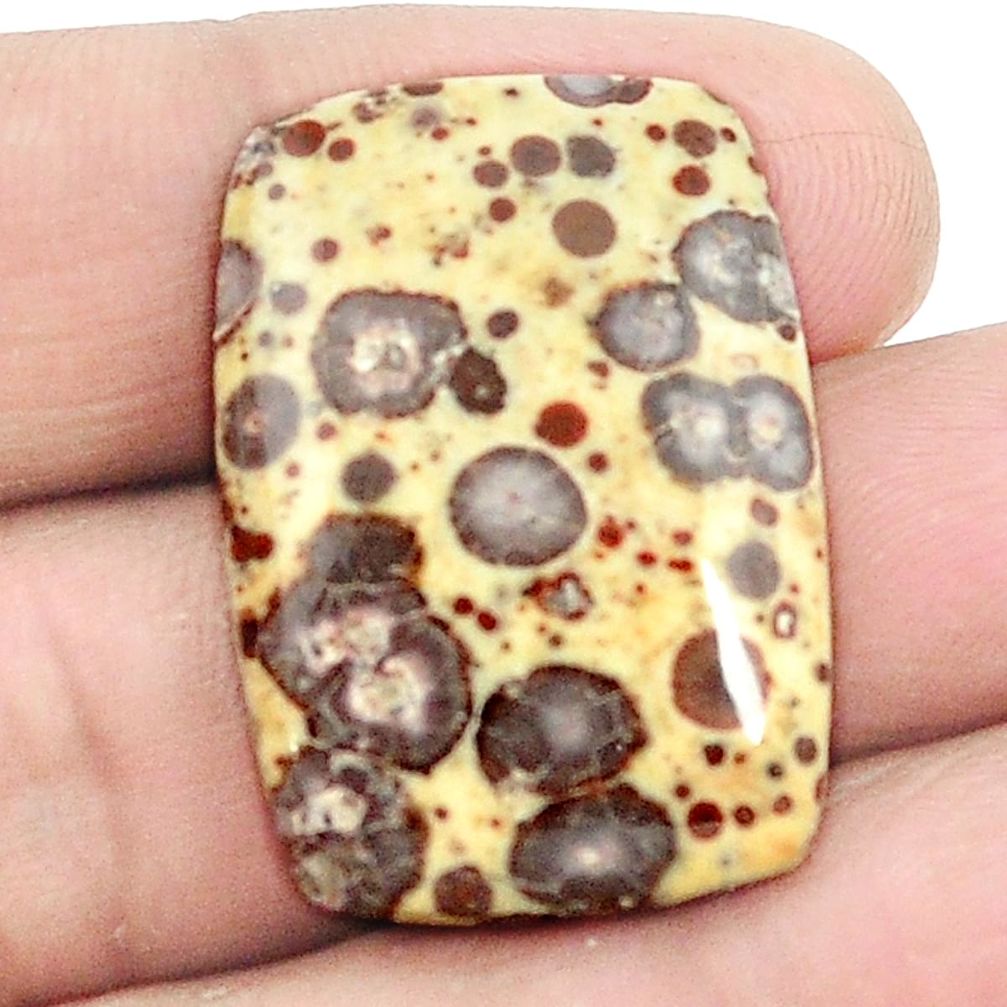 Natural 26.95cts asteroid jasper cabochon 30x20 mm octagan loose gemstone s2986