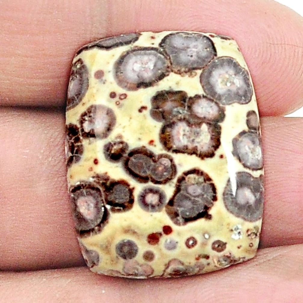 Natural 24.80cts asteroid jasper cabochon 26x20 mm octagan loose gemstone s2988