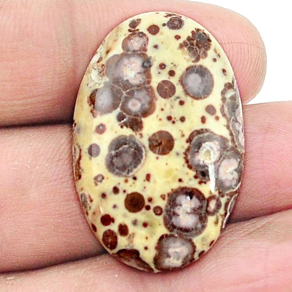 Natural 27.85cts asteroid jasper cabochon 31x20 mm oval loose gemstone s2990