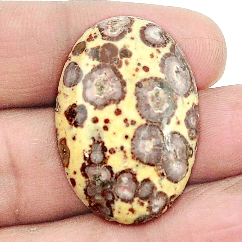 Natural 28.80cts asteroid jasper cabochon 31x21 mm oval loose gemstone s2994