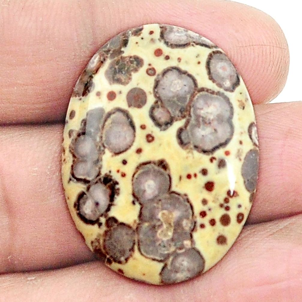 Natural 27.05cts asteroid jasper cabochon 31x23 mm oval loose gemstone s2996