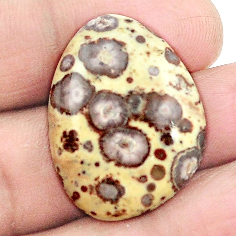 Natural 25.80cts asteroid jasper cabochon 29x22 mm fancy loose gemstone s2998