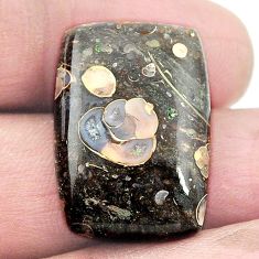 Natural 19.45cts colus fossil black cabochon 24x17mm loose gemstone s3001