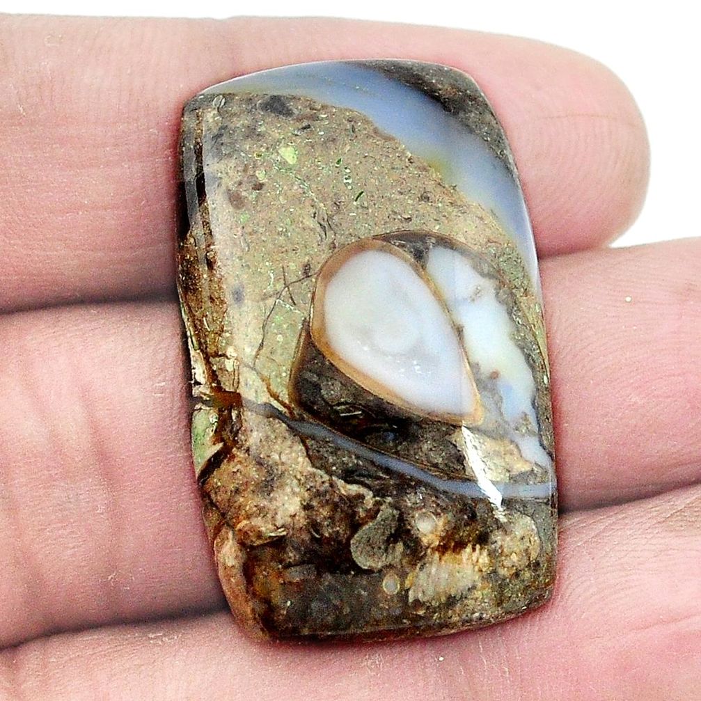 Natural 37.40ct colus fossil black cabochon 33x20mm loose gemstone s3005