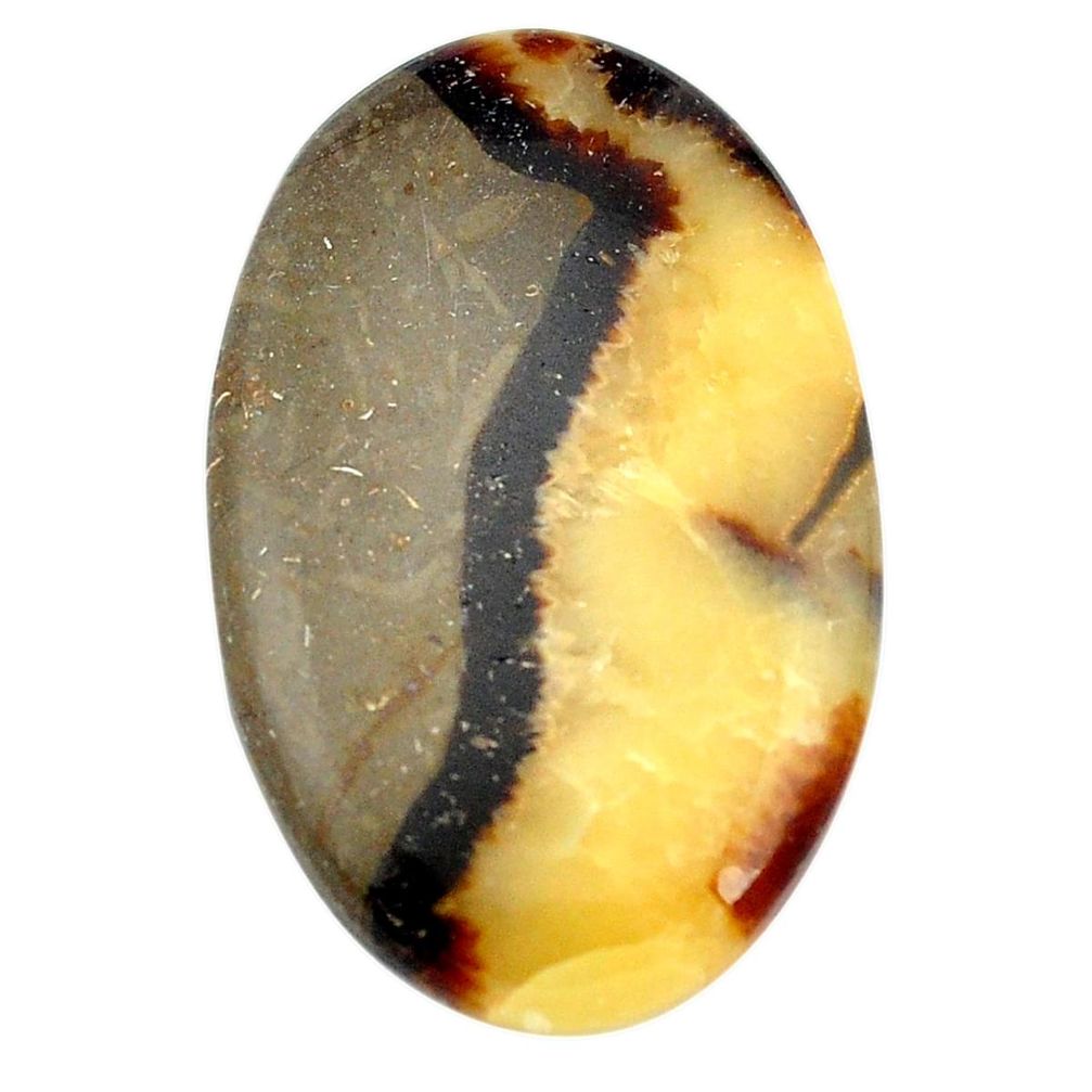 Natural 66.30cts septarian gonads brown 46.5x28 mm oval loose gemstone s3461