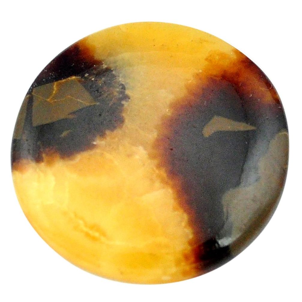 Natural 59.35cts septarian gonads brown 37x37 mm round loose gemstone s3462