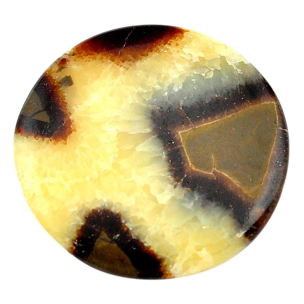 Natural 55.10cts septarian gonads brown 37.5x37.5 mm round loose gemstone s3465