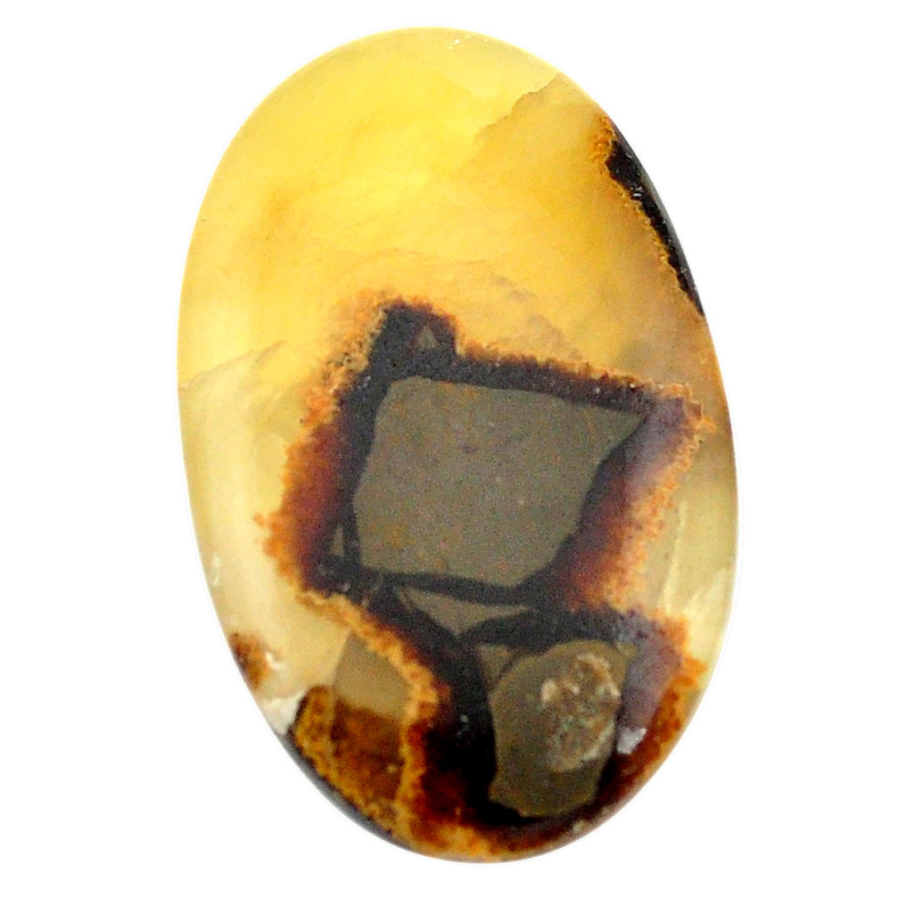 Natural 53.10cts septarian gonads brown 43x25.5 mm oval loose gemstone s3470