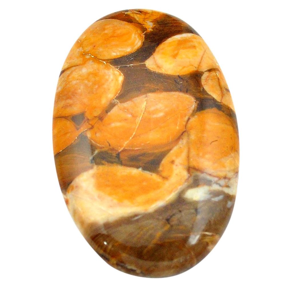 64.45cts peanut petrified wood fossil brown 48x31 mm oval loose gemstone s3481