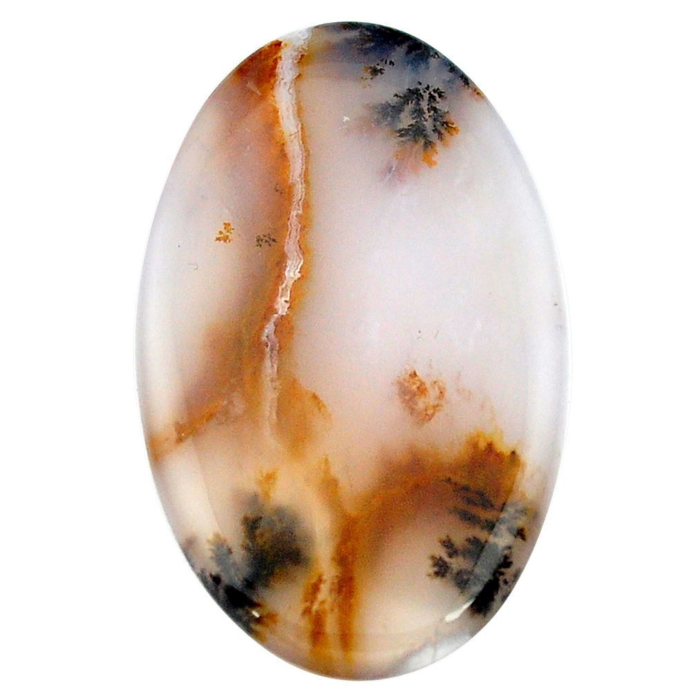 48.40cts scenic russian dendritic agate 44x26.5 mm oval loose gemstone s3497