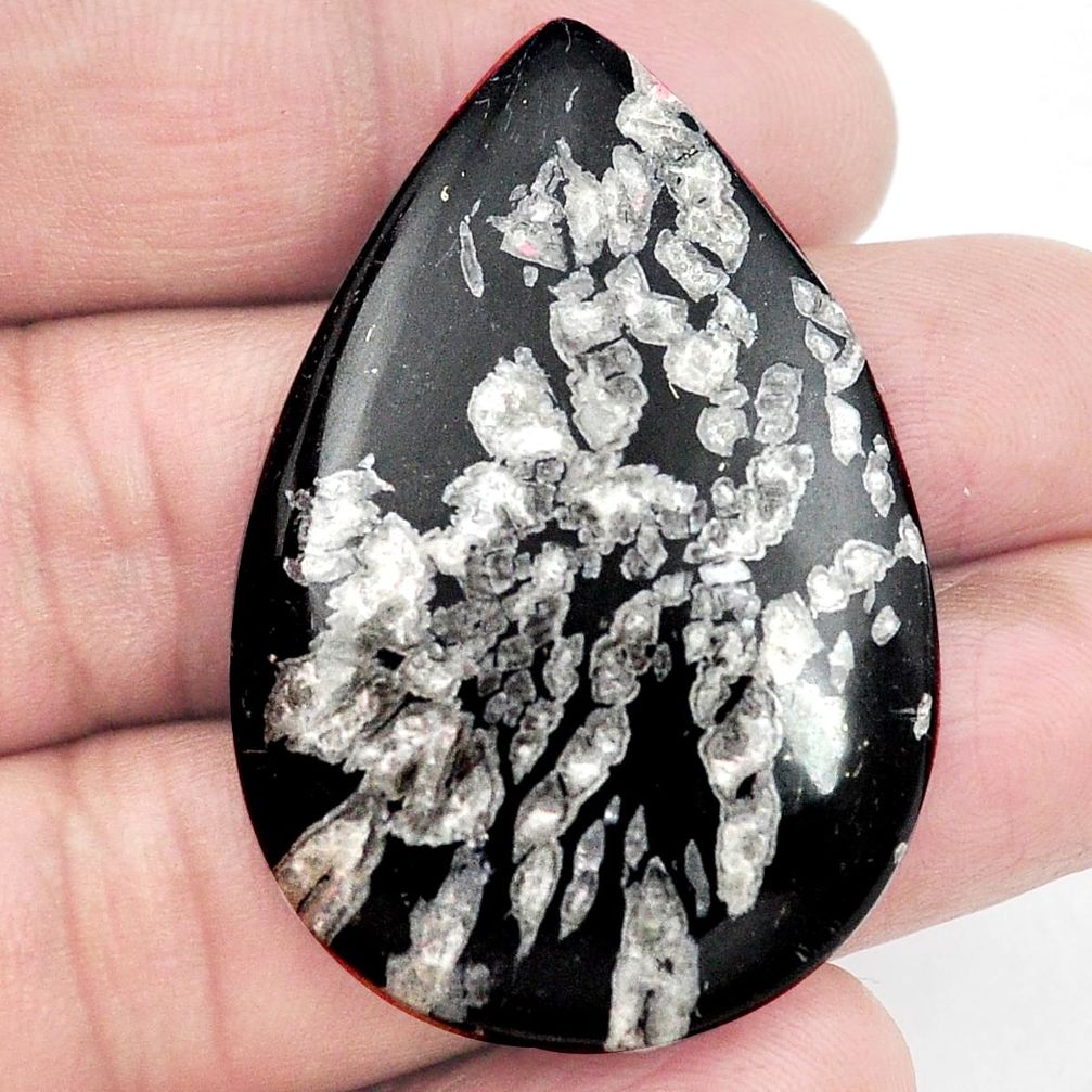 Natural 53.15cts chrysanthemum black cabochon 45x30 mm pear loose gemstone s3549